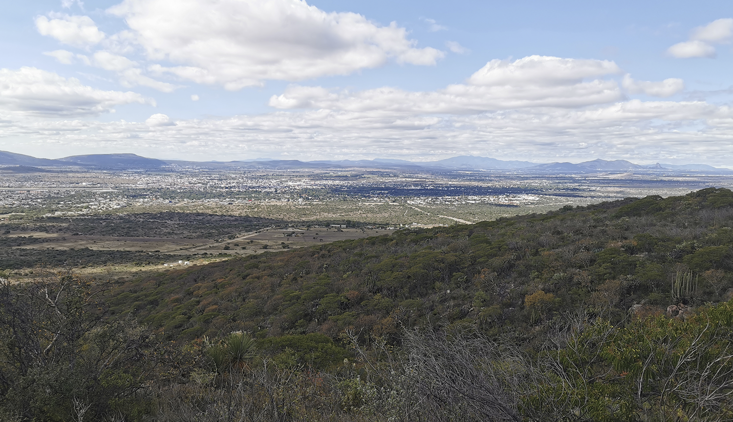 #cabañas #sostenibilidad #regeneracion #naturaleza #verde #modular #bajahuellacarbono #parajenatural